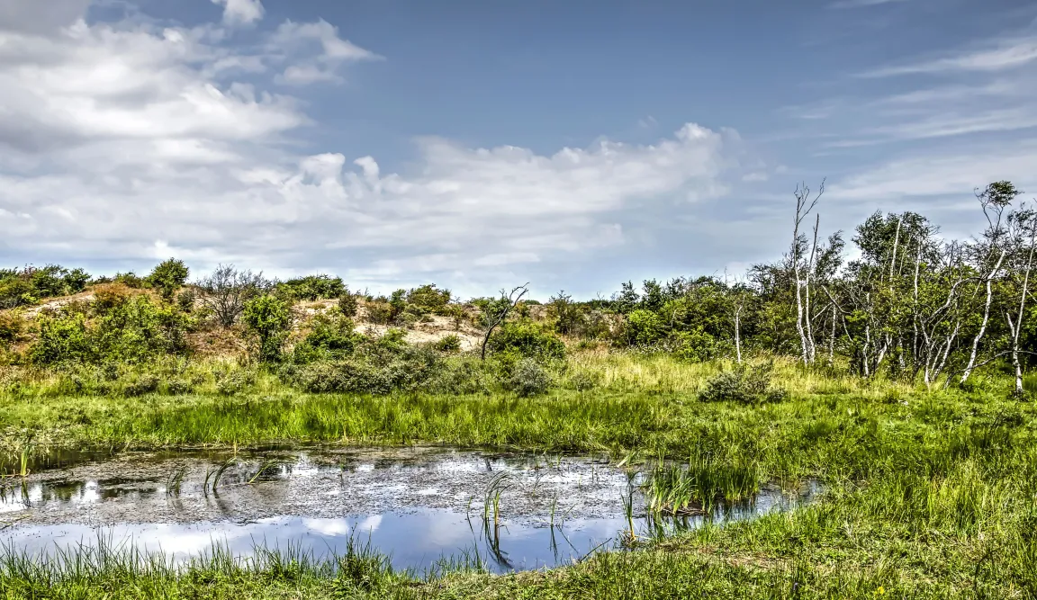 vacature natuur vakgroephoofd